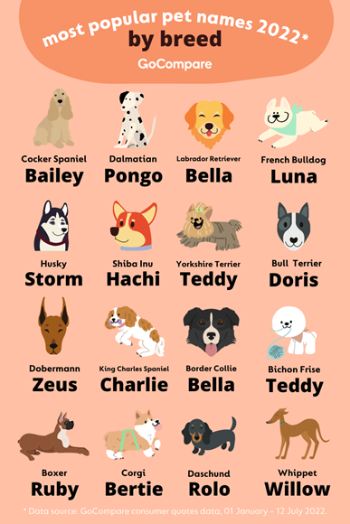 what are some popular dog names