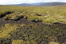 Dried out peat at a Peatland Action site in the Cairngorms National Park ©Lorne Gill NatureScot