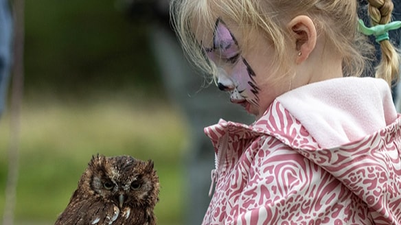 GSAB Hannahston Woodland Nature Day (5)