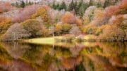 Anna Curnow’s Autumnal image of Burrator won the Stunning Scenery category and was the overall winner.: Anna Curnow’s Autumnal image of Burrator won the Stunning Scenery category and was the overall winner.