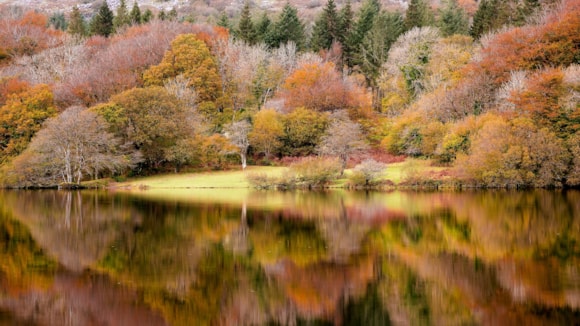 South West Water supports South West Lakes Trust’s 25th anniversary photo competition: Anna Curnow’s Autumnal image of Burrator won the Stunning Scenery category and was the overall winner.