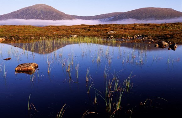 Rannoch Moor ©Lorne Gill SNH