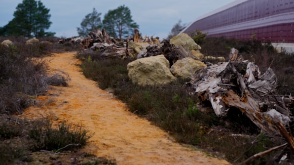 The UK's first ever heathland bridge-5