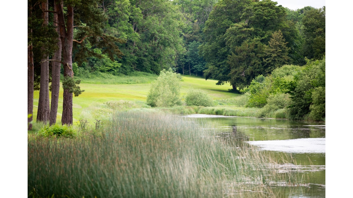 Heythrop Park grounds 03 21