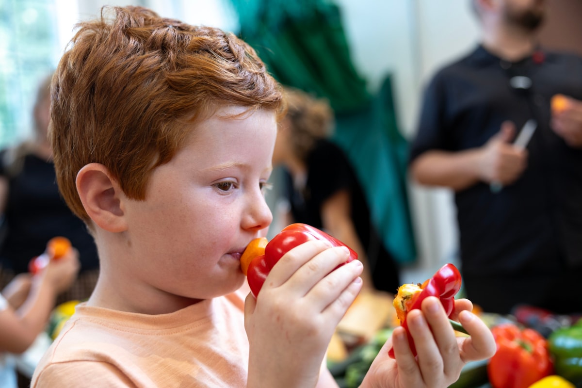 Trying out an instrument