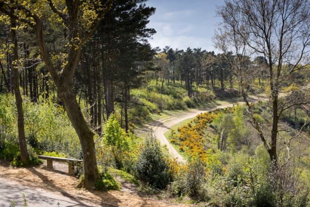1333088 Hindhead Commons and the Devil's Punch Bowl National Trust Images Chris Lacey