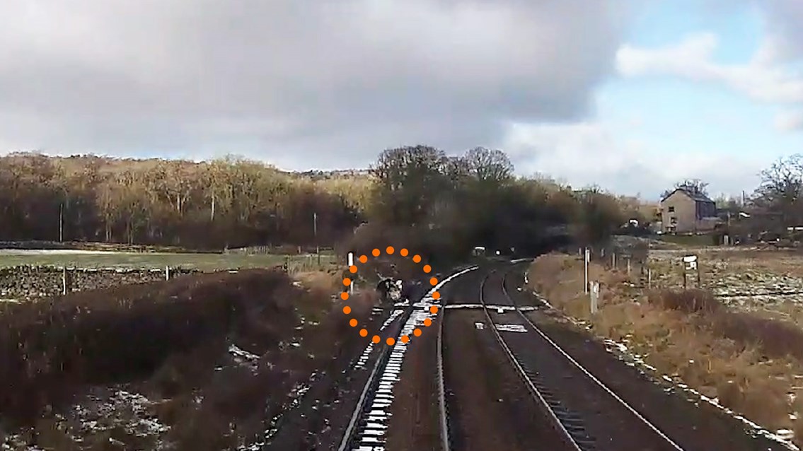 Safety warning as train CCTV catches shocking near miss with dog walkers: Near miss Challan Hall footpath crossing Silverdale January 2021