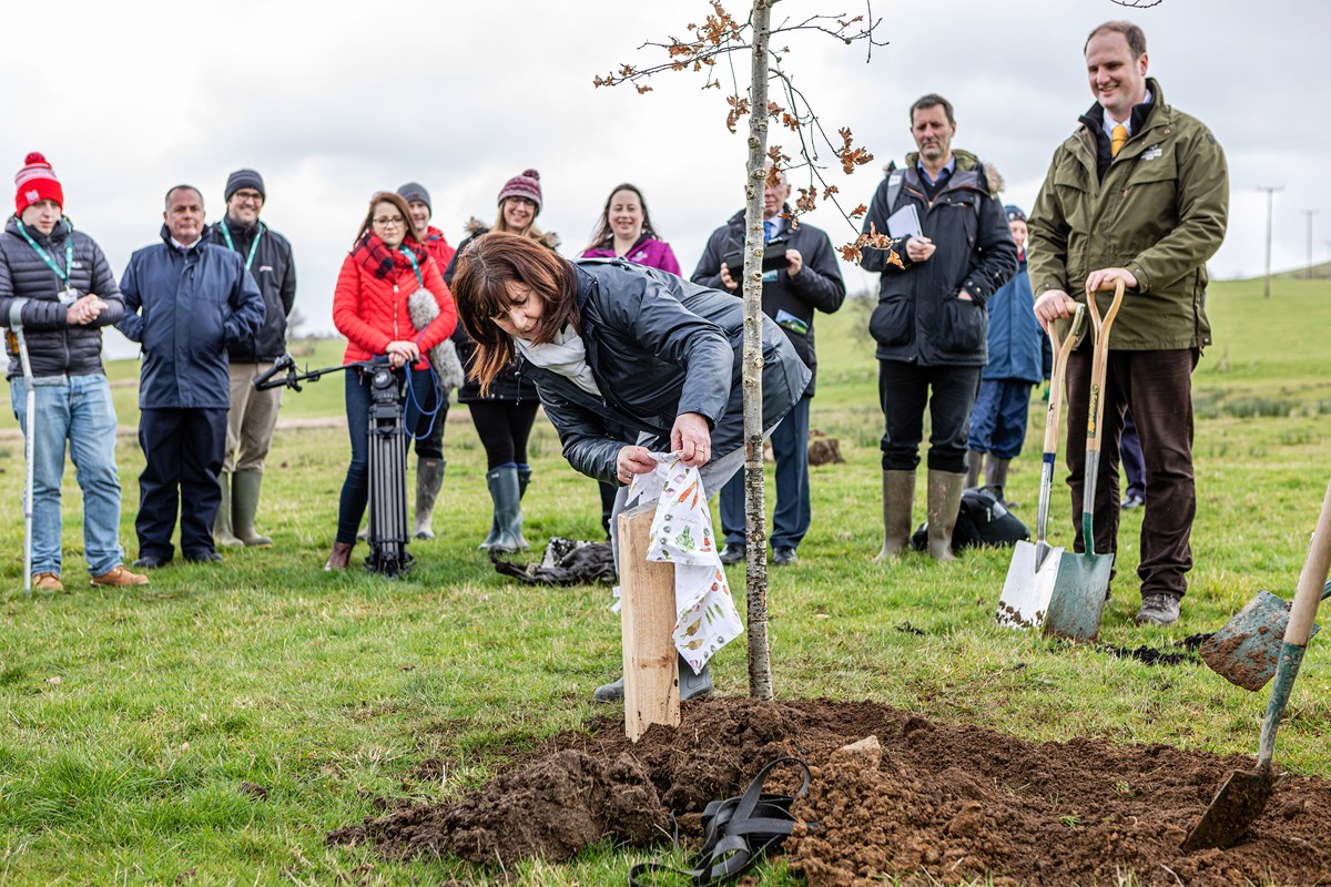 NATIONAL FOREST
LESLEY GRIFFITHS