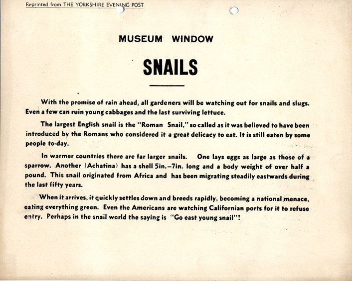 Museum Windows project: An object label from the original Museum Windows project at Leeds City Museum in 1936. Credit LMG Institutional Archive, Leeds Museum & Galleries.