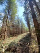 Pic 9 - Winner of the  2024 Hunter Blair Trophy - Loch Ard Forest Lochan Spling, Trossachs – FLS: Pic 9 - Winner of the  2024 Hunter Blair Trophy - Loch Ard Forest Lochan Spling, Trossachs – FLS