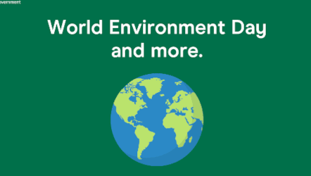 Net Zero Content Calendar - May-June 2025