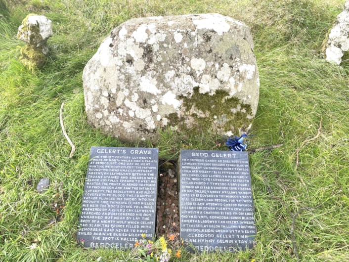 Gelert's grave: Gelert's grave