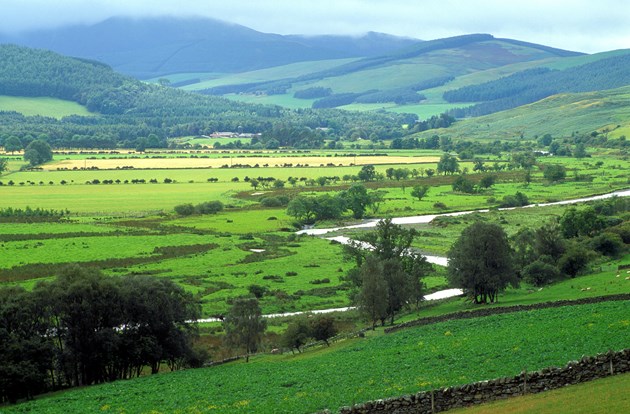 First of its kind business project invests in nature’s future: River Tweed, near Broughton-Drumelzier. ©George Logan-NatureScot