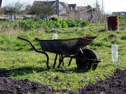Go-ahead for Elgin allotments