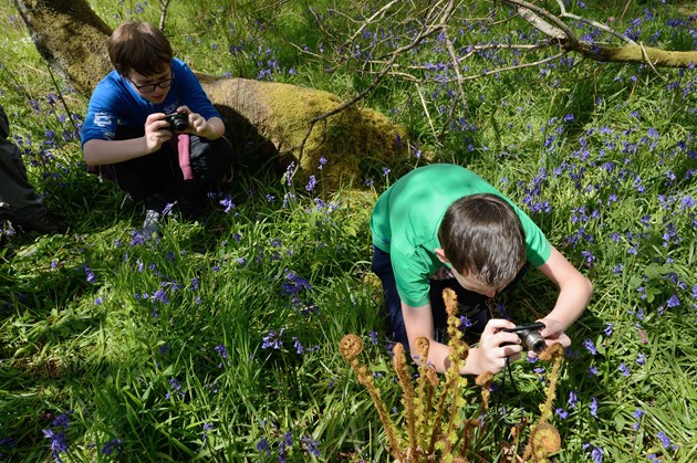 Report highlights need for school children to be more connected to nature: Children learning in a bluebell woodland. Credit: Lorne Gill/NatureScot