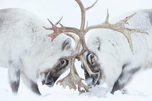 Image copyright Stefano Unterthiner