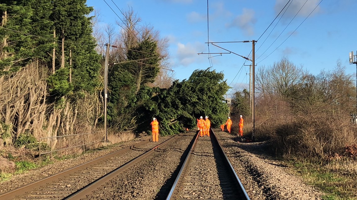 Network Rail to carry out overnight repairs after Storm Fionn brings down trees between Norwich and Diss: Trees between Norwich and Diss (5)