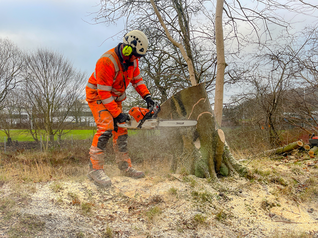 Ecology measures being implemented at Dalgety Bay station: Dalgety Bay tree cutting 1