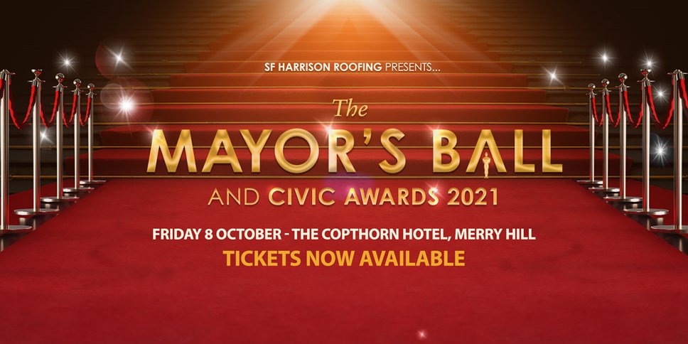 Mayor's ball 2021 artwork