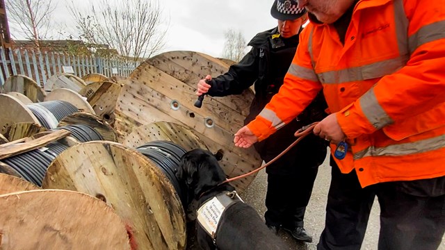 Ronnie the sniffer dog detecting SelectaDNA on a railway cable reel