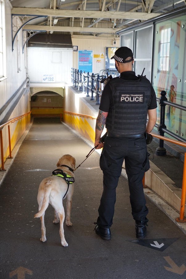 Officer with dog