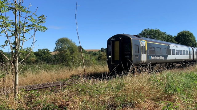 Full speed ahead on West of England line as full timetable to be brought back between Salisbury and Exeter St Davids in November: Dry soil with SWR train