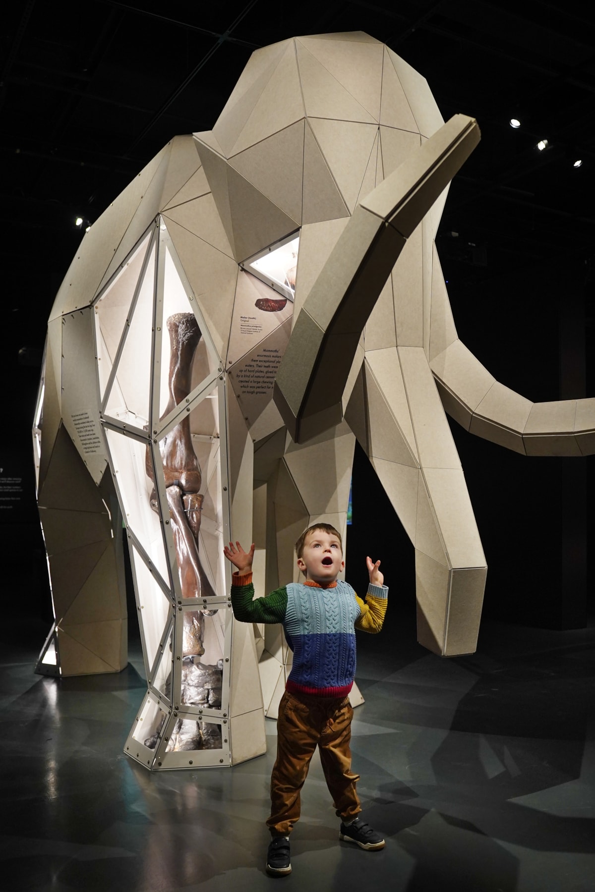 Arlo Cook (5) meets a mammoth at the National Museum of Scotland’s exhibition Giants. Photo © Stewart Attwood