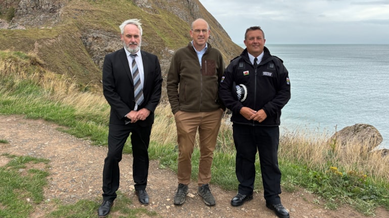 Have your say on new protections for seals and hares