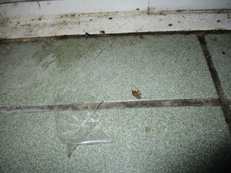 dead cockroach found at Top UKs Fried Chicken Halal Ltd