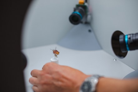Close up of an insect specimen being photographed by high definition cameras