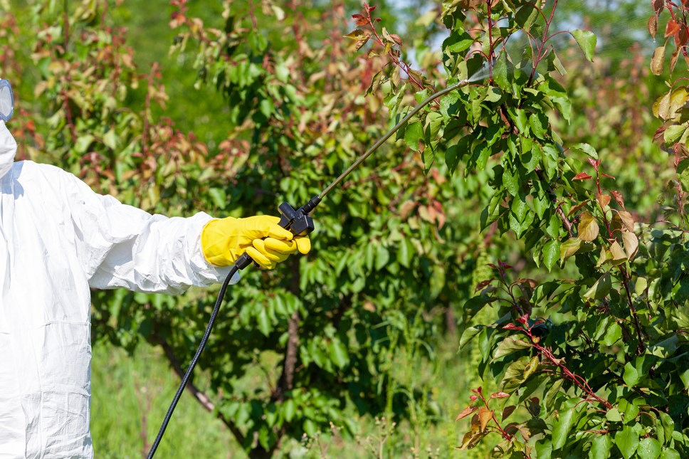 weed spraying