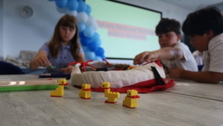 Innovation competition - Ted Wragg Trust