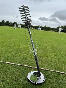Cricket trophy: Cricket trophy