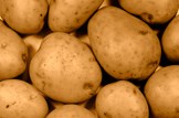 A helping hand at home and abroad: Agriculture-potatoes-crop-farming