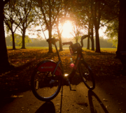 David Atkinson’s image of a Santander Cycle with the sun rising in Regent’s Park: David Atkinson’s image of a Santander Cycle with the sun rising in Regent’s Park