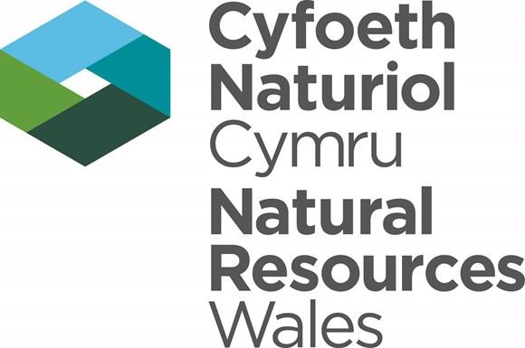 NRW study confirms Wales’ seas have massive potential for carbon offsetting to tackle the climate emergency: NRW logo CMYK stack(CC) (002)