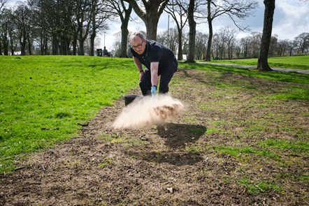 Cllr McMahon sows wildflowers at Kay Park