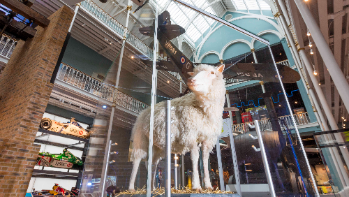 Find out more: National Museum of Scotland