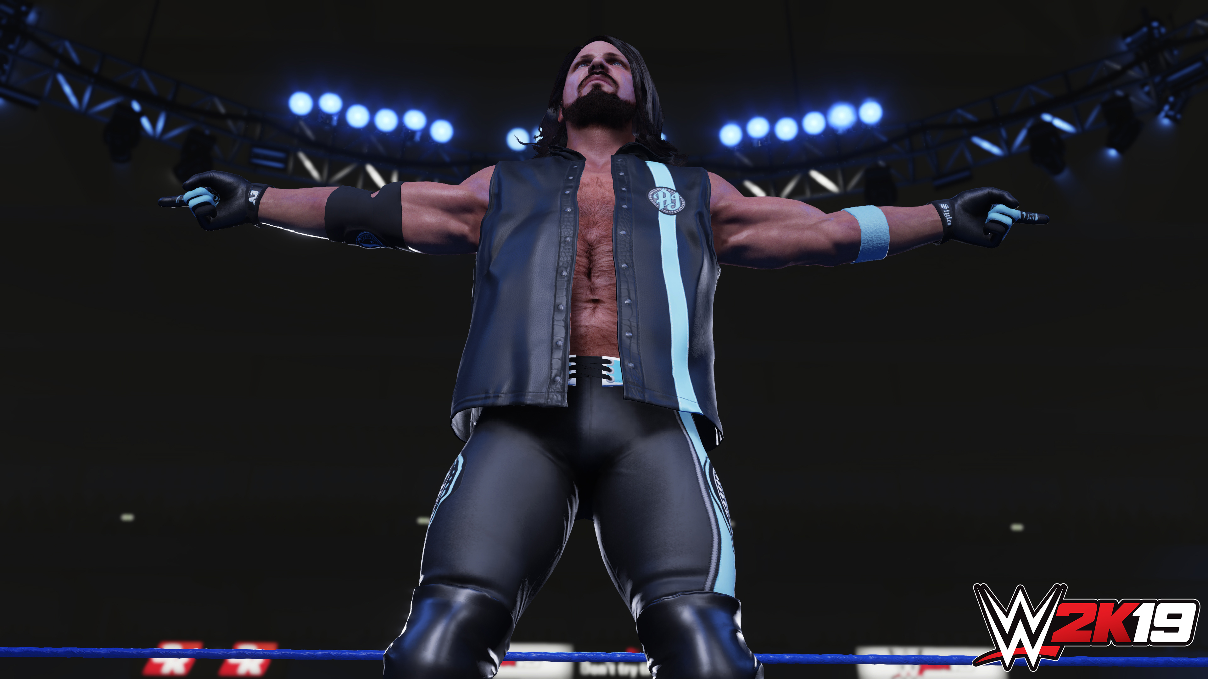 wwe2k19 人気 コスチューム