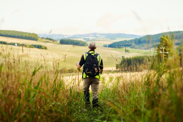 Forester checking  a woodland landscape: Credit Scottish Forestry