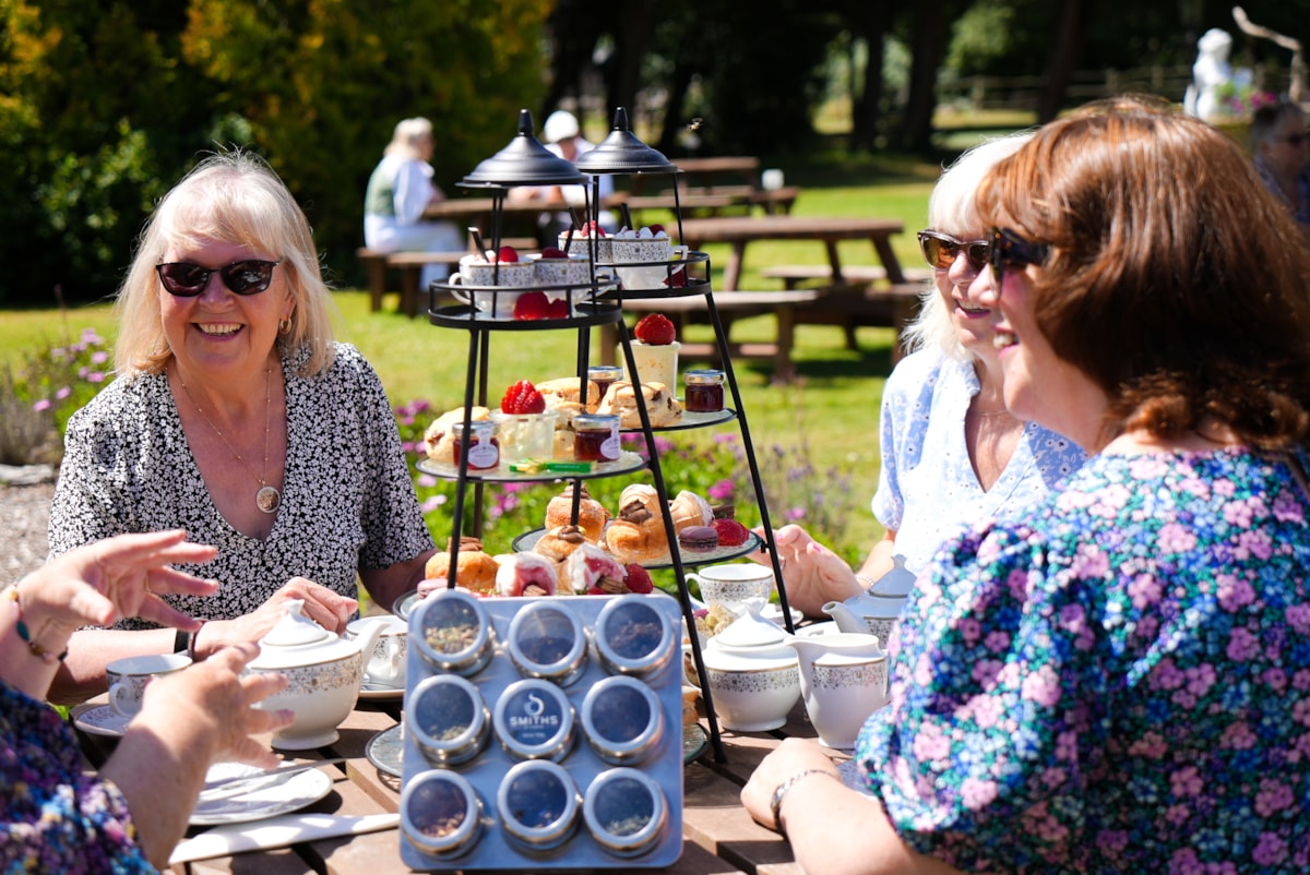 Afternoon tea and tea tasting experience