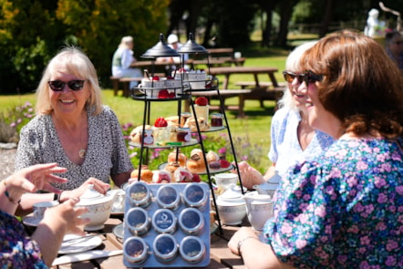 Afternoon tea and tea tasting experience