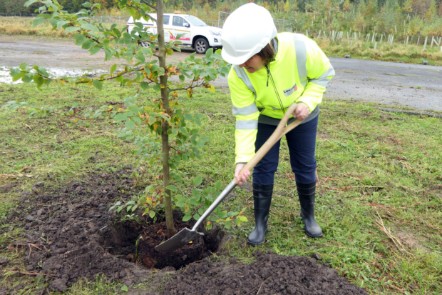 Leader of the county council Phillippa Williamson plants a tree at the Samlesbury Enterprise Zone