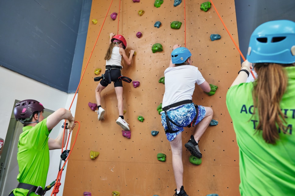 Blue Dolphin Climbing Wall | Haven News