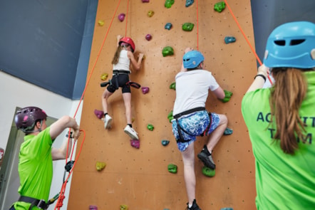 Blue Dolphin Climbing Wall