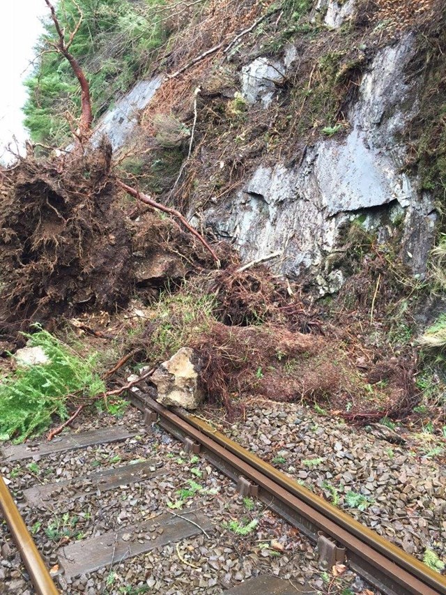 Tree on the line at Blaenau Ffestiniog after Storm Doris in February 2017