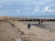 Swimmers on Portobello beach: Swimmers head down to the beach using refurbished groyne for shelter.