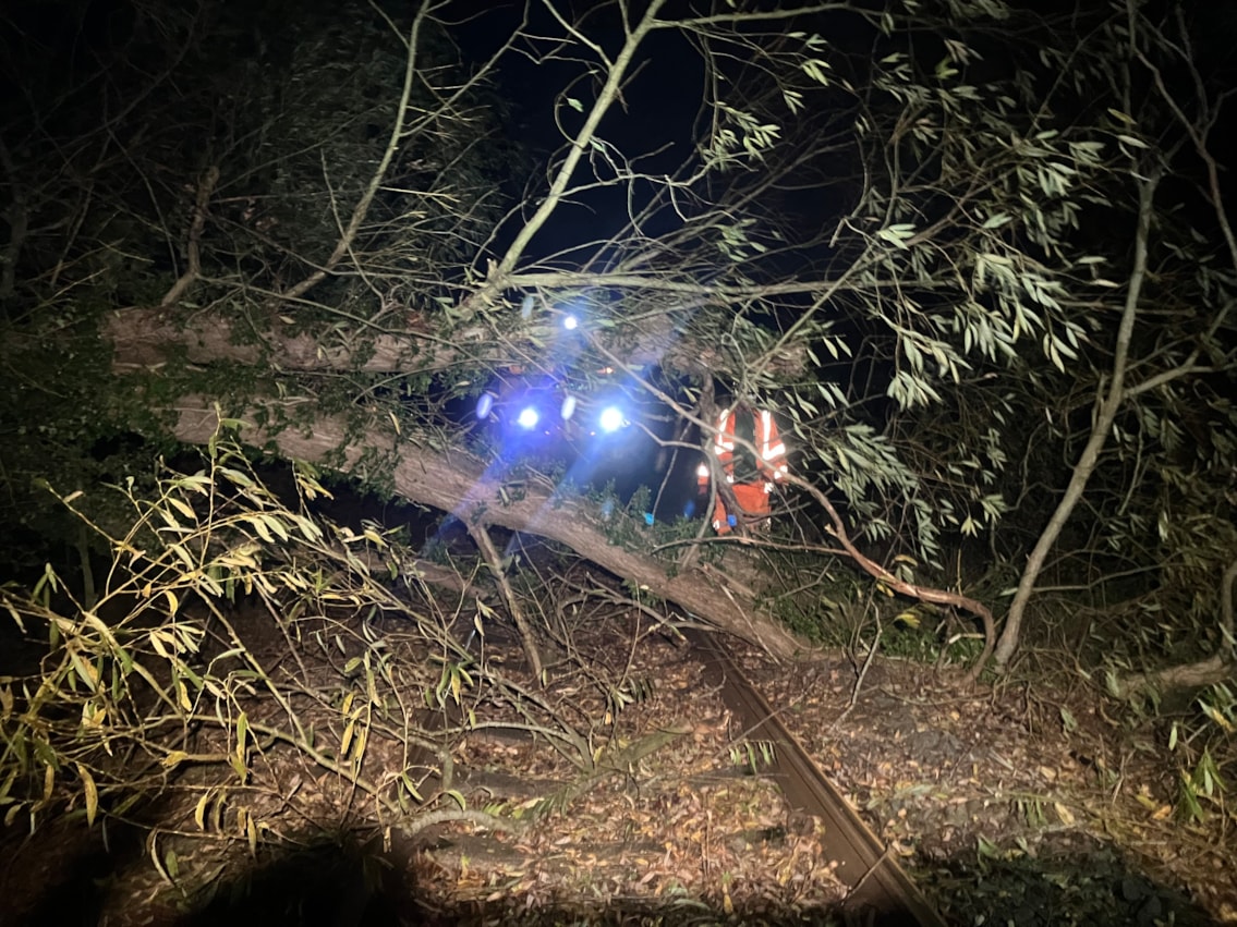 Tree on the line with Network Rail engineer - Whatcroft (25 Oct)