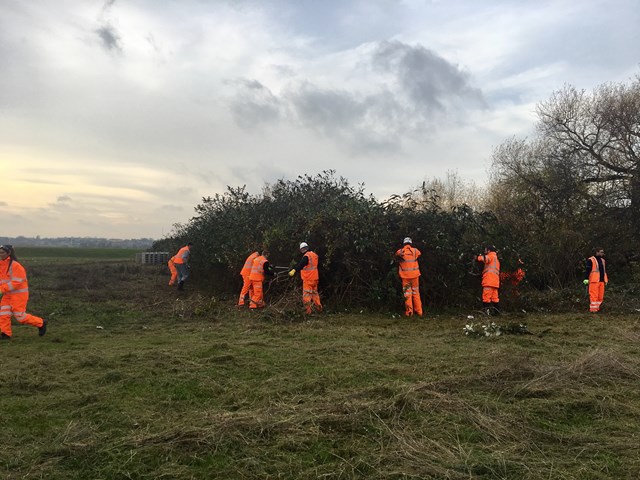 Gospel Oak to Barking staff help to create wildflower meadow at Walthamstow Wetlands: Gospel Oak to Barking team work on the Walthamstow Wetlands