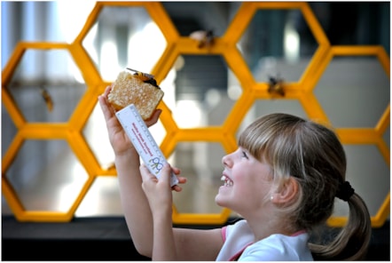 Caela Callander (7) examines geometric honeycomb ahead of Maths Week Scotland 2025. Photo © Paul Dodd 5